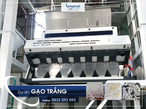 Dự án máy tách màu gạo RG7-64X ở Nam Định
