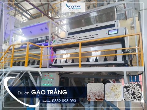 Dự án máy tách màu gạo RG7 tại Nam Định