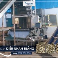 Dự án máy bắn hạt điều P-LQS4