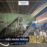 Dự án máy bắn màu hạt điều P-LQS4 tại Bình Phước